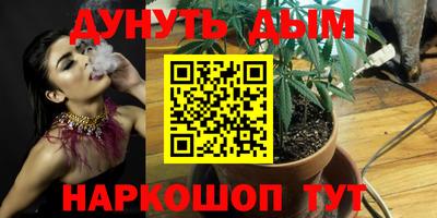 метадон Новозыбков