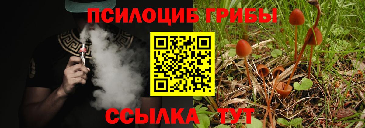 Усть-Илимск  Псилоцибиновые грибы прущие грибы  Галлюциногенные грибы MAGIC MUSHROOMS  Вход с VPN 